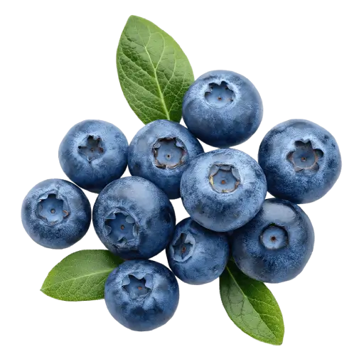 Blueberry Extract