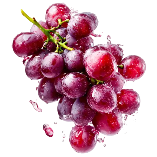 Red Grapes Stem Cells