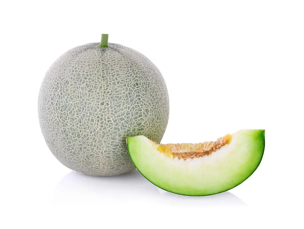 Melon SOD (Superoxide Dismutase from Melons)